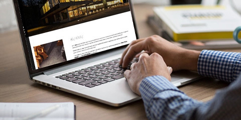 professional writer service