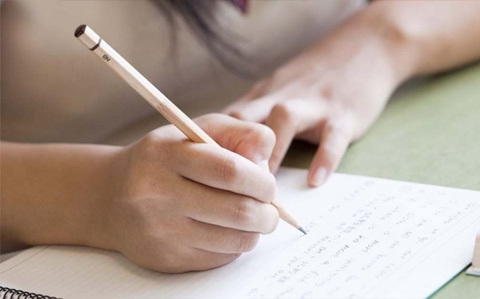 professional writer service